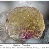 Fluorite
fov 4.5 mm
(Autor: ploum)