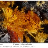 Cacoxenite
fov 1.2 mm
(Autor: ploum)