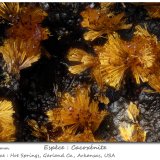 Cacoxenite
fov 2.2 mm
(Autor: ploum)