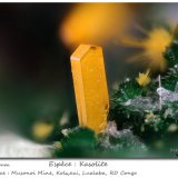 Kasolite
fov 1.6 mm
(Autor: ploum)