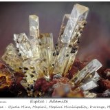 Adamite with Goethite
fov 2.2 mm
(Autor: ploum)