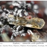 Adamite with Goethite
fov 1.5 mm
(Autor: ploum)