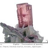 'Tourmaline' and Quartz
fov 40 mm
(Autor: ploum)