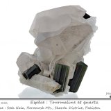 'Tourmaline' on Quartz
fov 150 mm
(Autor: ploum)