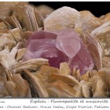 Fluorapatite on Muscovite
fov 50 mm
(Autor: ploum)