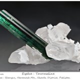 Tourmaline on Quartz
fov 60 mm
(Autor: ploum)