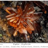Erythrite
fov 2.2 mm
(Autor: ploum)