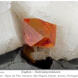 Natropyrochlore
fov 1.6 mm
(Autor: ploum)
