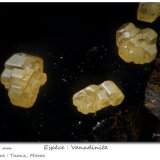 Vanadinite
fov 0.85 mm
(Autor: ploum)