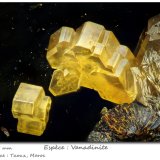 Vanadinite
fov 0.55 mm
(Autor: ploum)