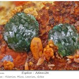 Adamite
fov 3.2 mm
(Autor: ploum)