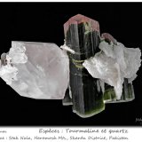 Tourmaline and Quartz
fov  70 mm
(Autor: ploum)
