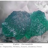 Cornwallite
fov 0.90 mm
(Autor: ploum)