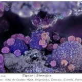Strengite
fov 1.95 mm
(Autor: ploum)