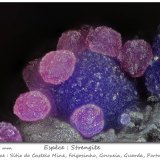 Strengite
fov 0.85 mm
(Autor: ploum)