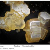 Vanadinite
0.75 mm
(Autor: ploum)