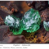 Adamite (variety cuprian)
fov 2.2 mm
(Autor: ploum)