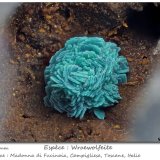 Wroewolfeite
fov 3 mm
(Autor: ploum)