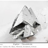 Tetrahedrite
fov 5.0 mm
(Autor: ploum)