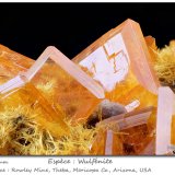 Wulfenite with Mimetite
fov 11 mm
(Autor: ploum)