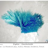 Camerolaite
fov 2.4 mm
(Autor: ploum)