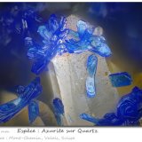 Azurite on Quartz
fov 0.90 mm
(Autor: ploum)