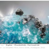 Murdochite and Ferrinatrite
fov 0.60 mm
(Autor: ploum)