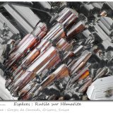 Rutile on Hematite
fov 7.0 mm
(Autor: ploum)