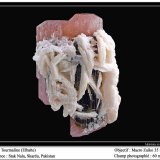 Elbaite (Tourmaline Group)
60 mm
(Autor: ploum)