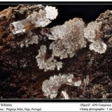 Willemite
3.5 mm
(Autor: ploum)
