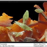 Pyromorphite
fov 3.5 mm
(Autor: ploum)