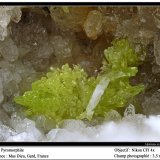 Pyromorphite
fov 3.5 mm
(Autor: ploum)
