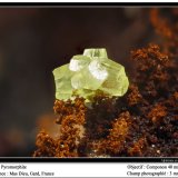 Pyrmorphite
fov 3 mm
(Autor: ploum)