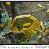 Wulfenite
fov 3.5 mm
(Autor: ploum)