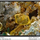 Wulfenite
3.5 mm
(Autor: ploum)