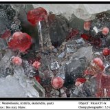 Wendwilsonite, quartz, erythrite
3.5 mm
(Autor: ploum)