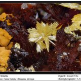 Mimetite
3.5 mm
(Autor: ploum)