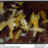 Mimetite
3.5 mm
(Autor: ploum)