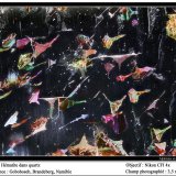 Hematite, quartz
3.5 mm
(Autor: ploum)