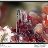 Erythrite
3.5 mm
(Autor: ploum)