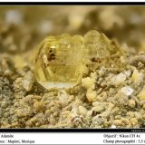 Adamite
3.5 mm
(Autor: ploum)