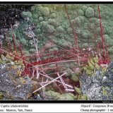 Cuprite
fov 2 mm
(Autor: ploum)