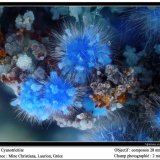 Cyanotrichite
fov 2 mm
(Autor: ploum)