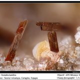 Enstatite, sanidine
foov 1.5 mm
(Autor: ploum)