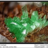 Annabergite
fov 2 mm
(Autor: ploum)