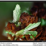 Olivenite and conichalcite
fov 2 mm
(Autor: ploum)