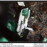 Cornwallite and olivenite
fov 1.5 mm
(Autor: ploum)