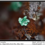 Cornwallite
fov 1.5 mm
(Autor: ploum)