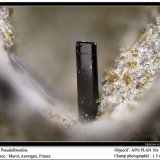 Pseudobrookite
fov 1.5 mm
(Autor: ploum)