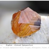 Spessartine
fov 7.2 mm
(Autor: ploum)